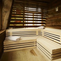 PrivatSpa STR - Sauna Altholz