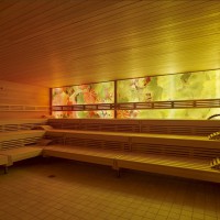 Spa Saaletalbald - Hammelburg Rotweinsauna Sauna
