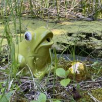 Brunnenfigur-Keramikfigur-Frosch-Wasserspeier Froschkoenig-Keramik-Garten-Teich-Brunnen