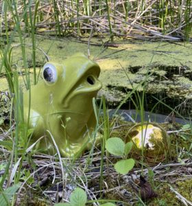 Brunnenfigur Frosch Fisch aus Keramik (Wasserspeier)